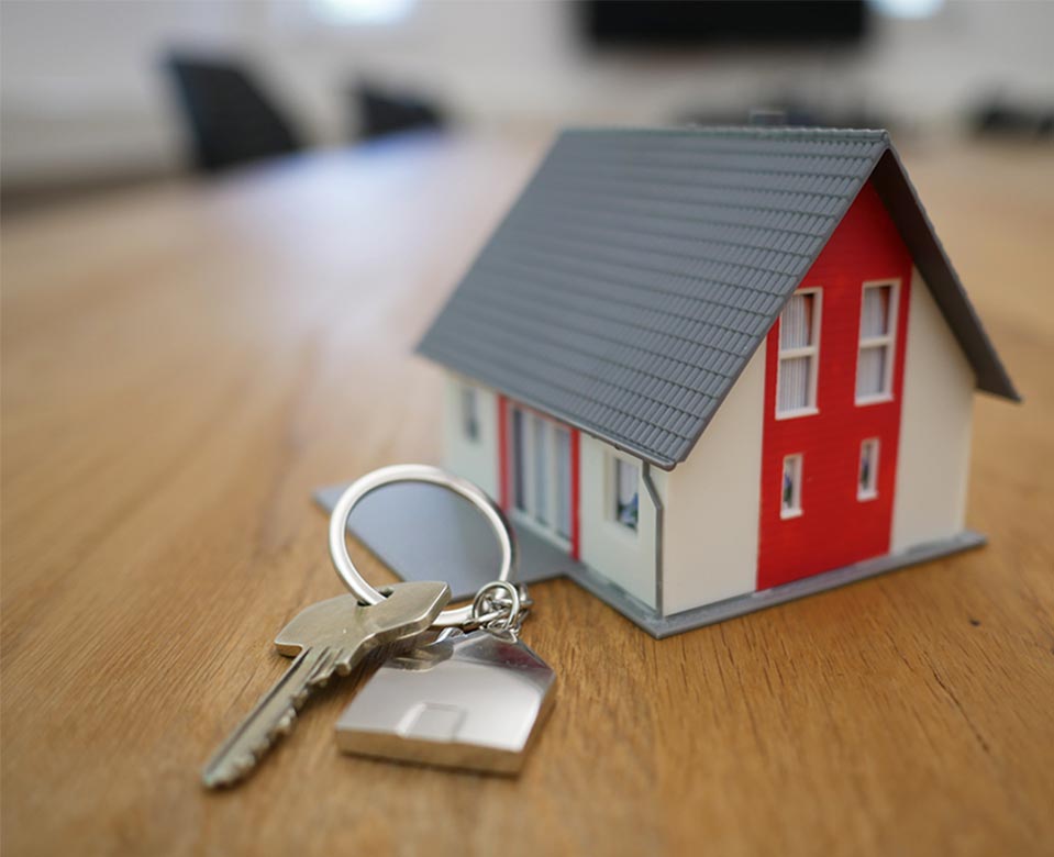 tierra-mallorca-rgJ1J8SDEAY-unsplash